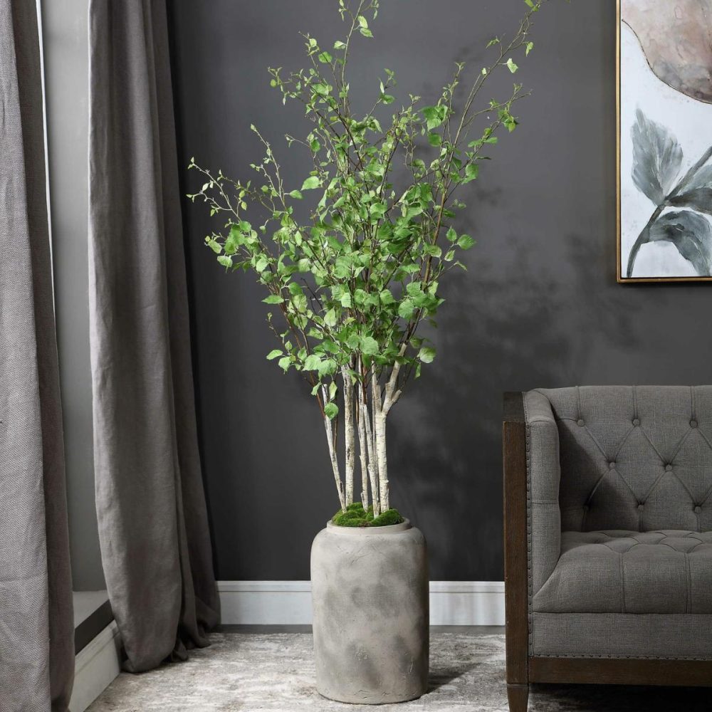 Botanicals |  Aldis Potted River Birch