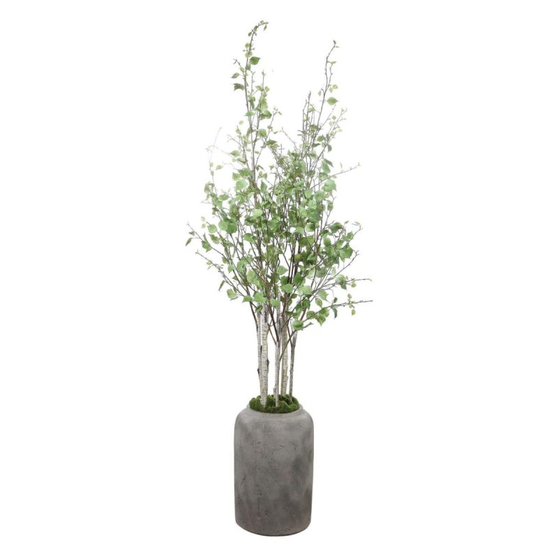 Botanicals |  Aldis Potted River Birch