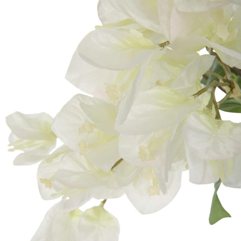 Botanicals |  Antiparos Bougainvillea Centerpiece