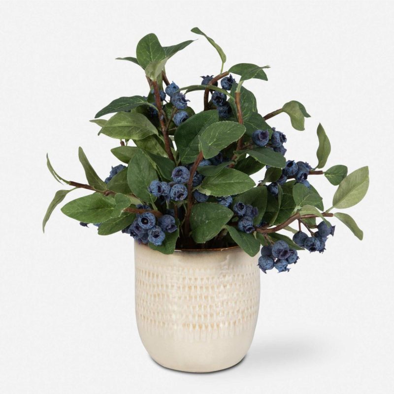 Botanicals |  Blueberry Fields Accent