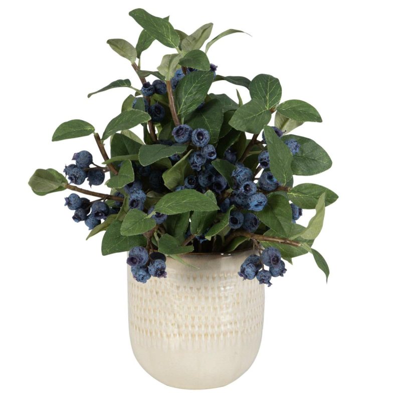 Botanicals |  Blueberry Fields Accent