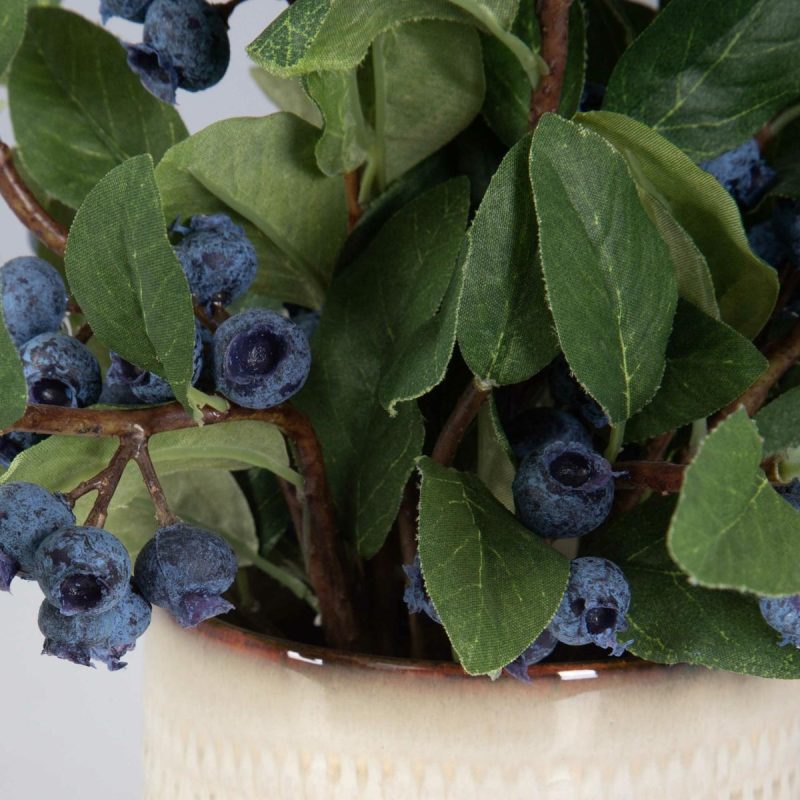 Botanicals |  Blueberry Fields Accent