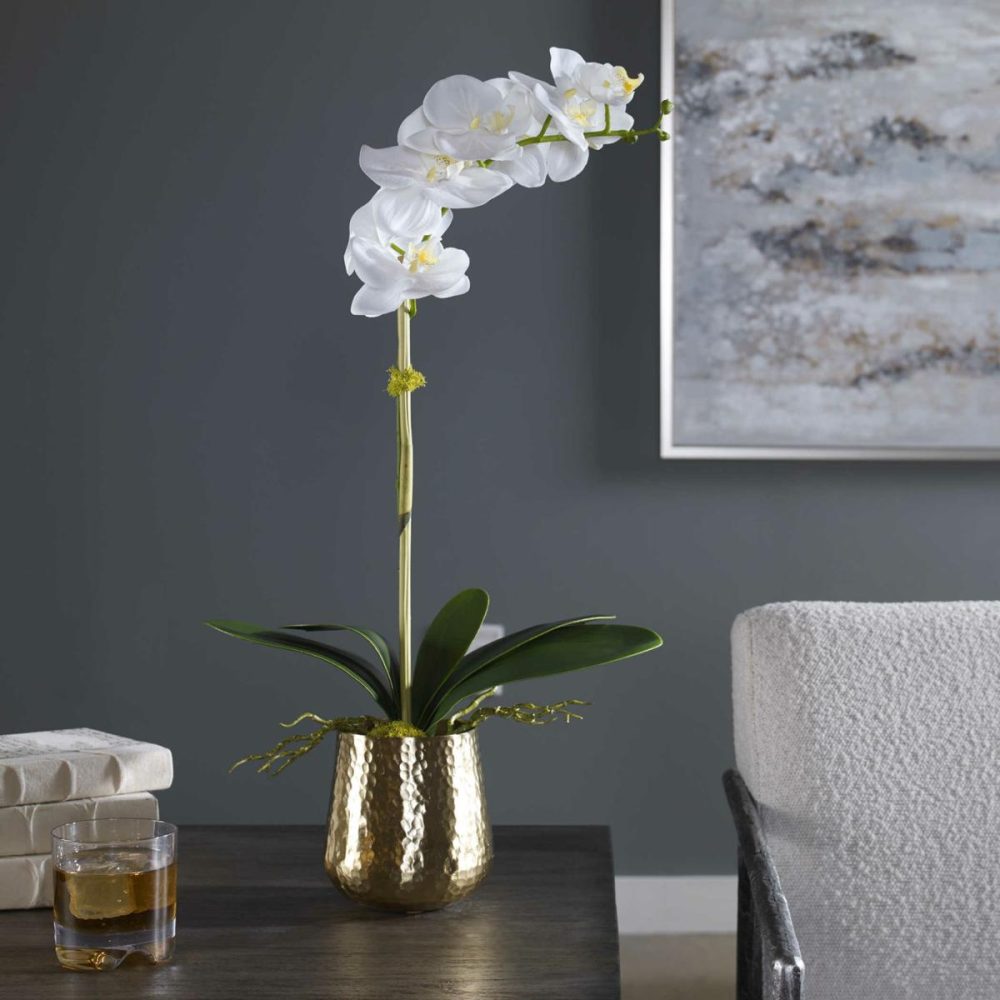 Botanicals |  Cami Orchid, Brass