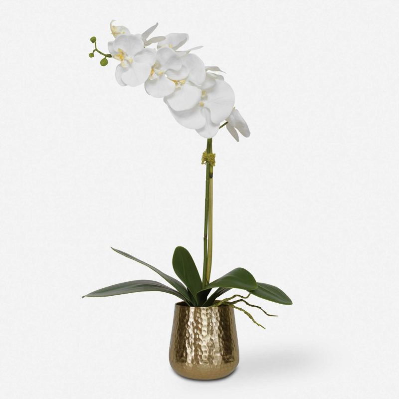 Botanicals |  Cami Orchid, Brass