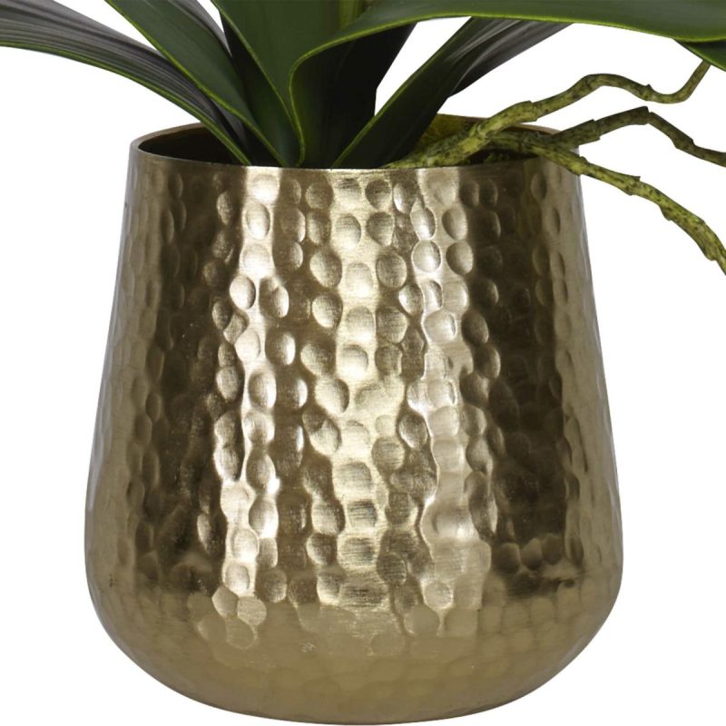 Botanicals |  Cami Orchid, Brass