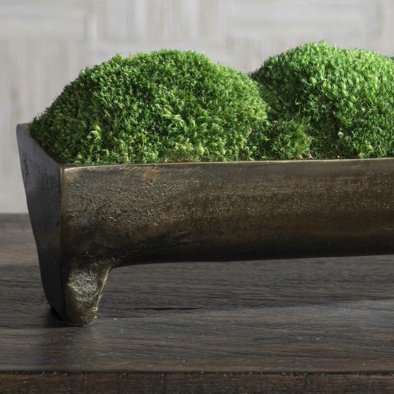 Botanicals |  Canal Moss Centerpiece, Small