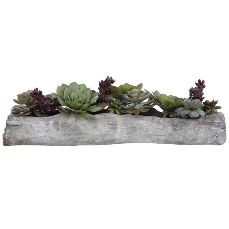 Botanicals |  Charita Succulents