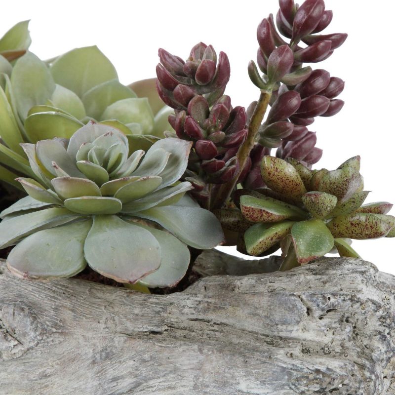 Botanicals |  Charita Succulents