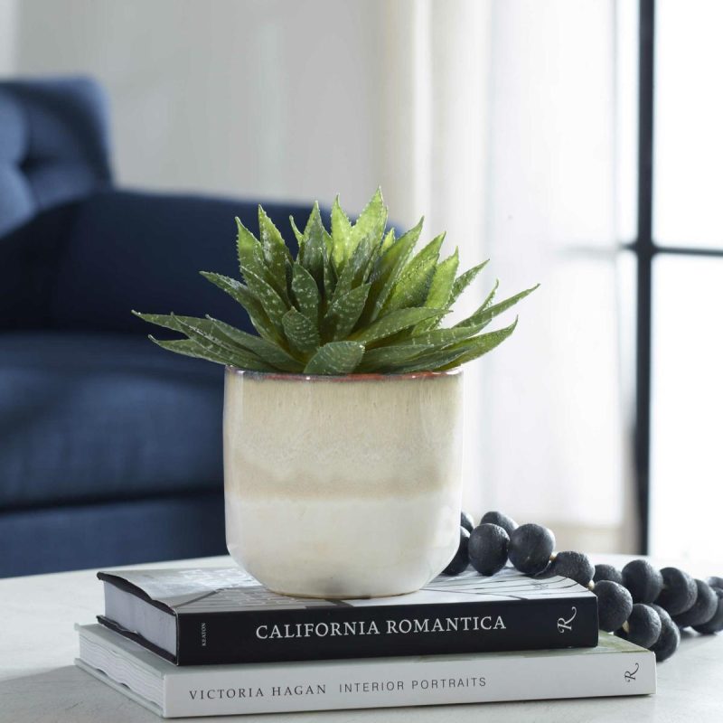 Botanicals |  Doha Succulent Accent