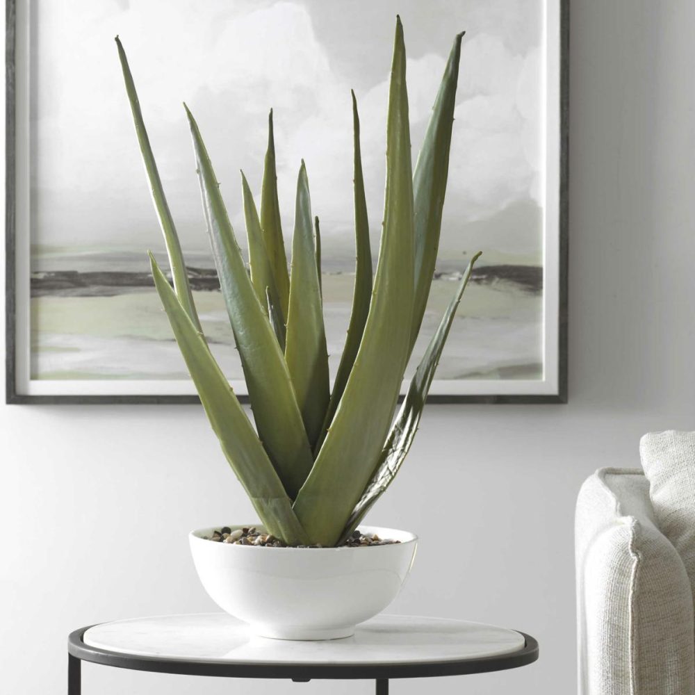 Botanicals |  Evarado Aloe Planter