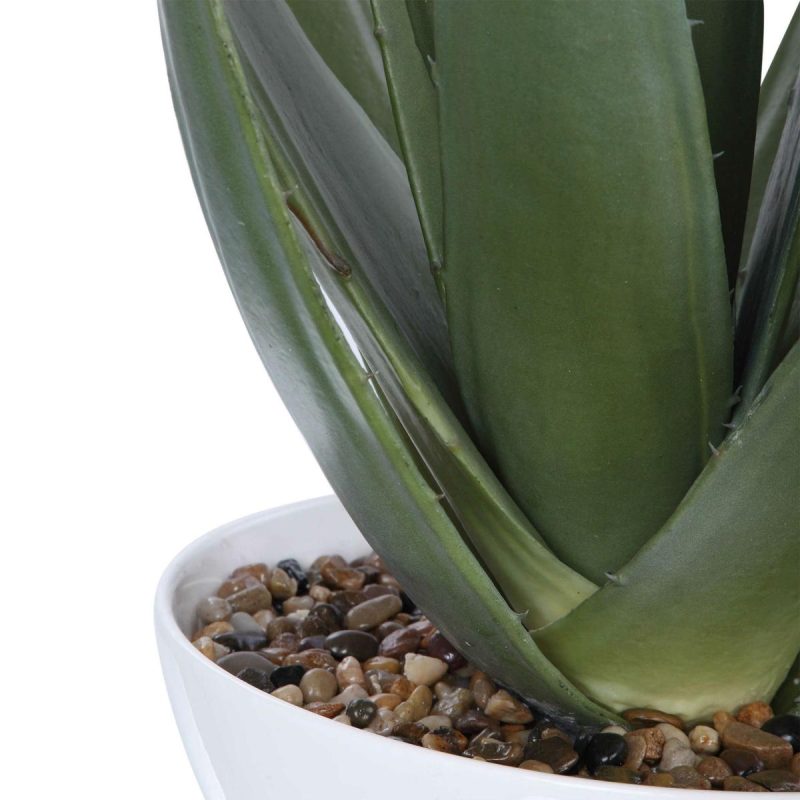 Botanicals |  Evarado Aloe Planter