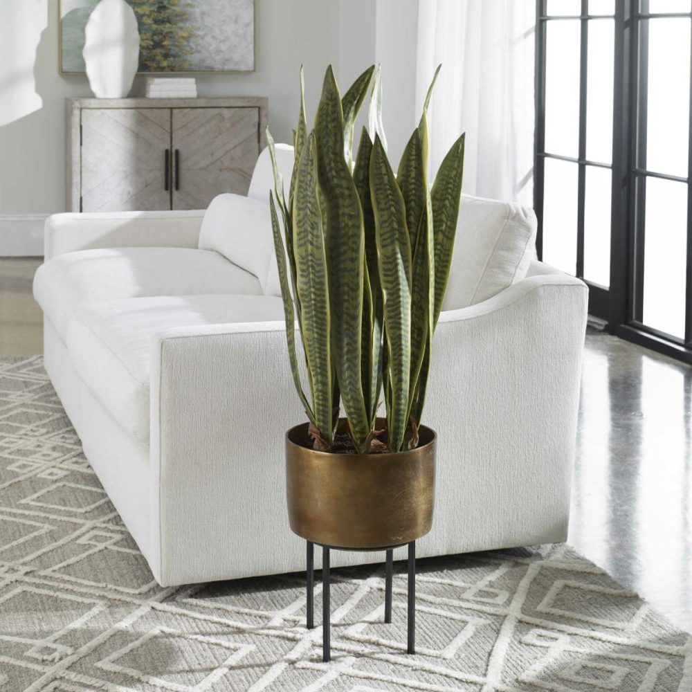 Botanicals |  Fasita Planter, 2 Cartons