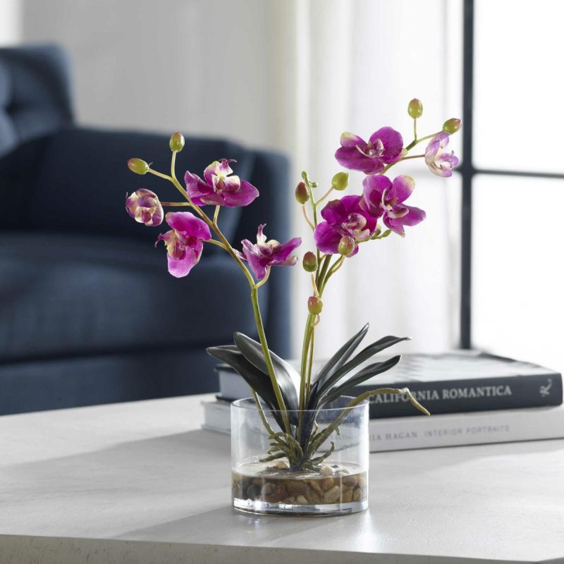 Botanicals |  Glory Orchid, Fuschia