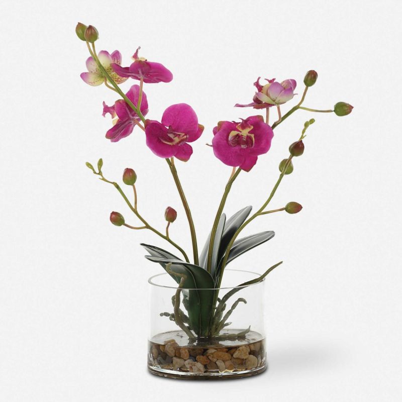 Botanicals |  Glory Orchid, Fuschia