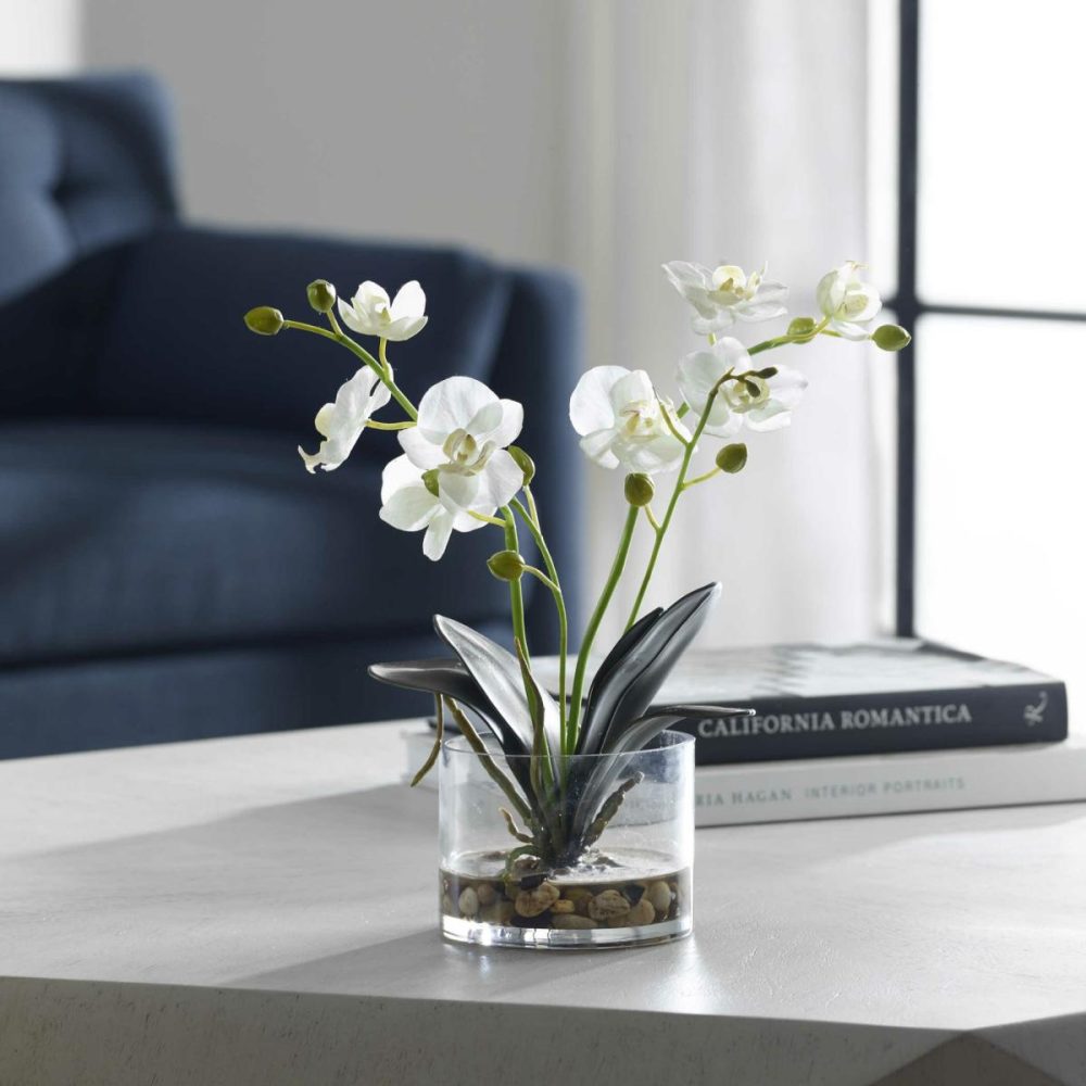 Botanicals |  Glory Orchid, White