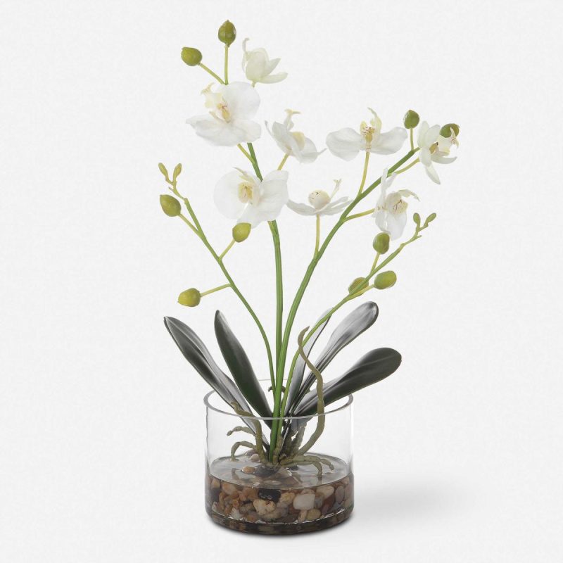 Botanicals |  Glory Orchid, White