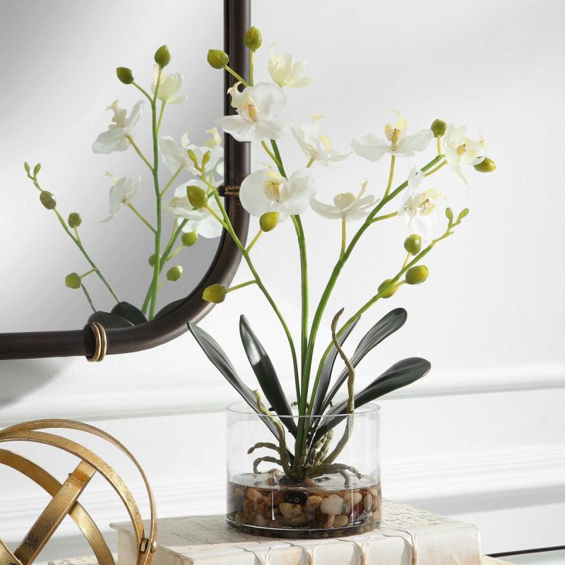 Botanicals |  Glory Orchid, White