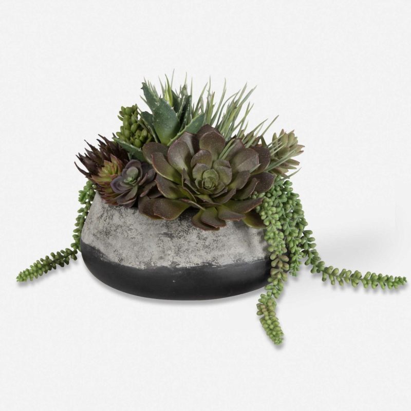 Botanicals |  Gobi Succulent Centerpiece