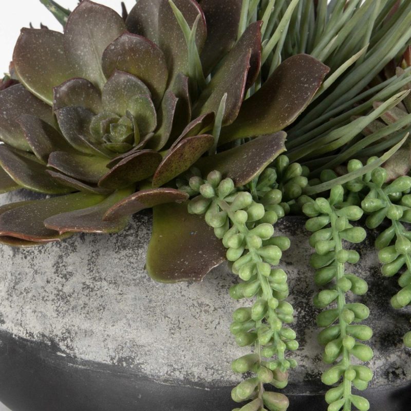 Botanicals |  Gobi Succulent Centerpiece