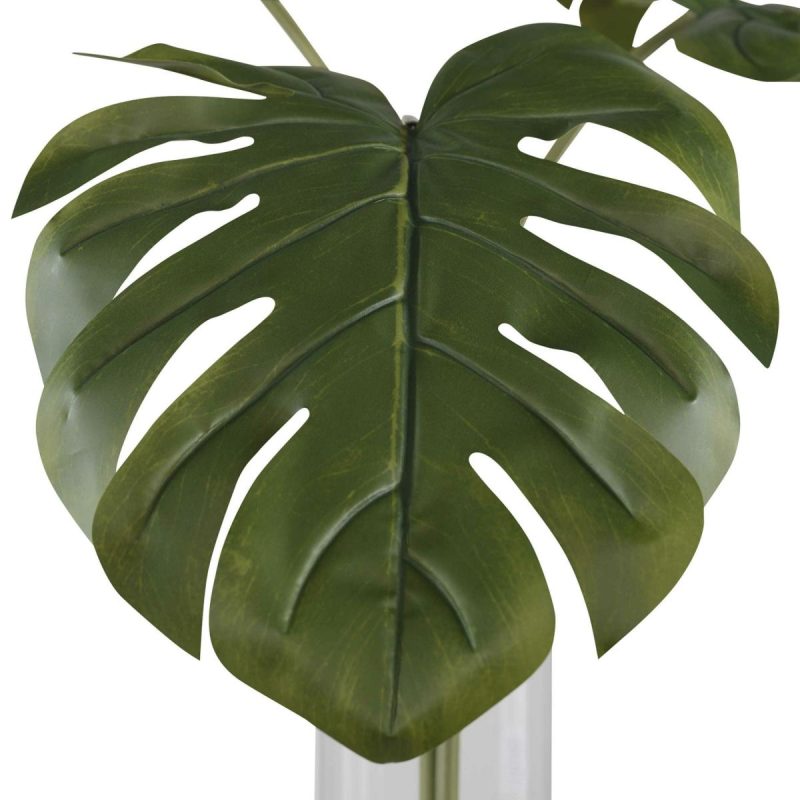 Botanicals |  Ibero Split Leaf Palm