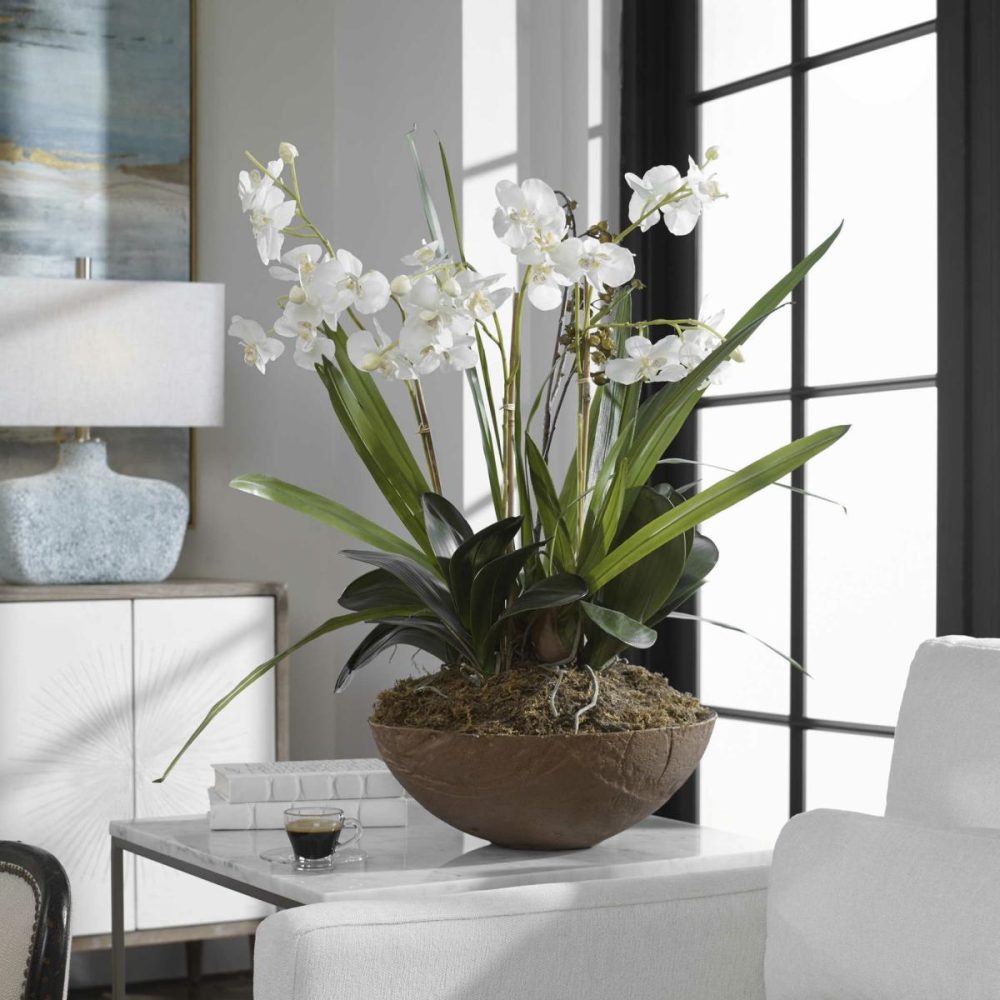 Botanicals |  Moth Orchid Planter