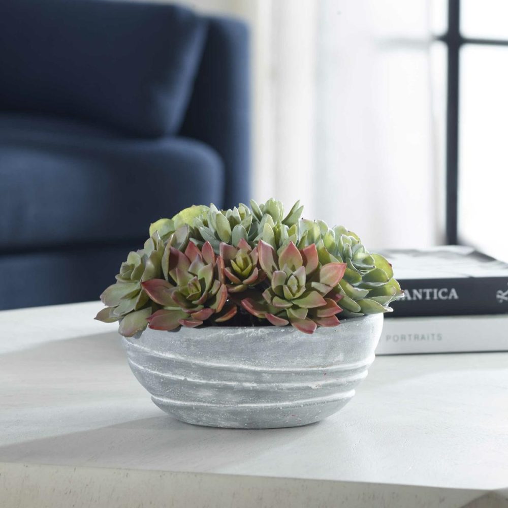 Botanicals |  Peoria Succulent Accent