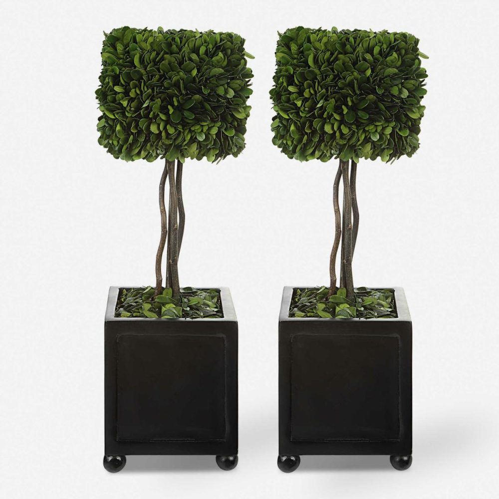 Botanicals |  Preserved Boxwood Square Topiaries, S/2