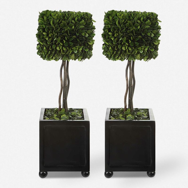 Botanicals |  Preserved Boxwood Square Topiaries, S/2