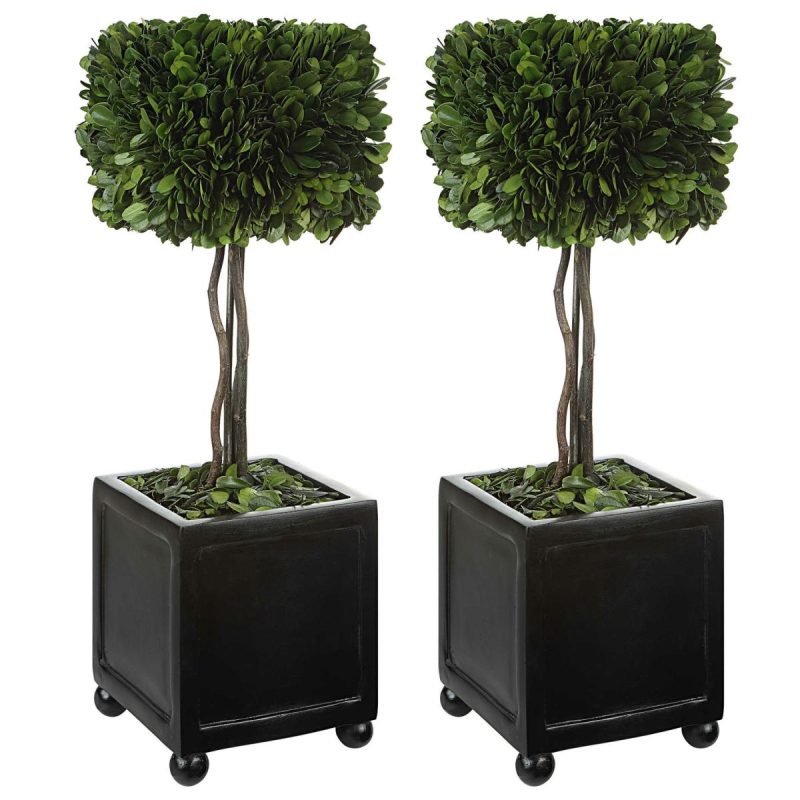 Botanicals |  Preserved Boxwood Square Topiaries, S/2