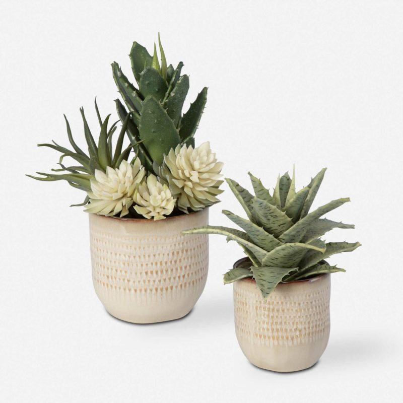 Botanicals |  Seaside Succulents, S/2