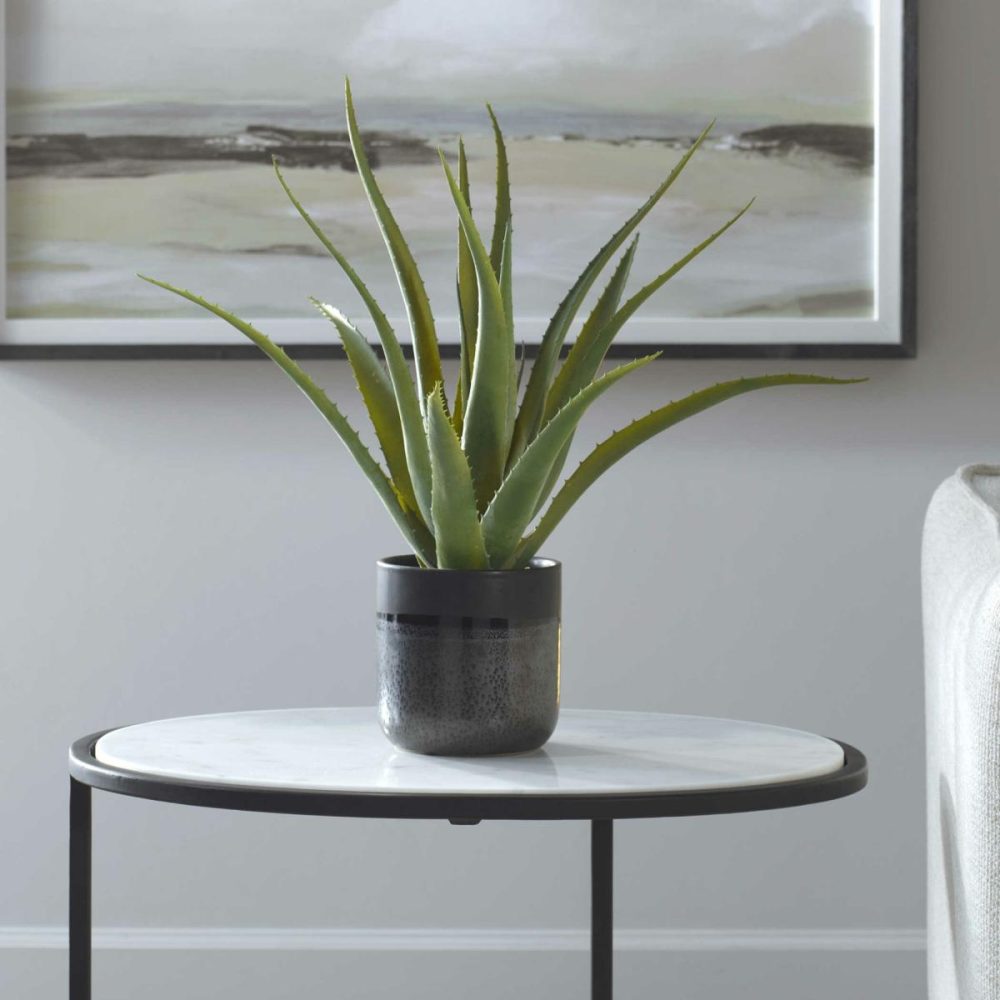 Botanicals |  Tucson Aloe Planter