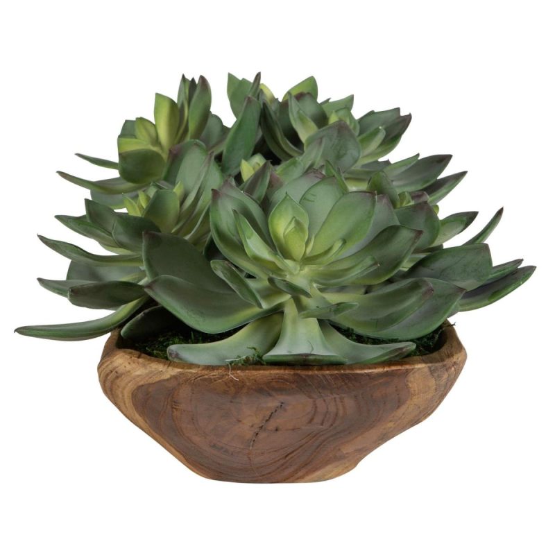 Botanicals |  Yuma Succulent Centerpiece