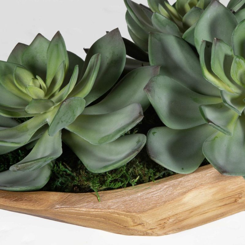 Botanicals |  Yuma Succulent Centerpiece