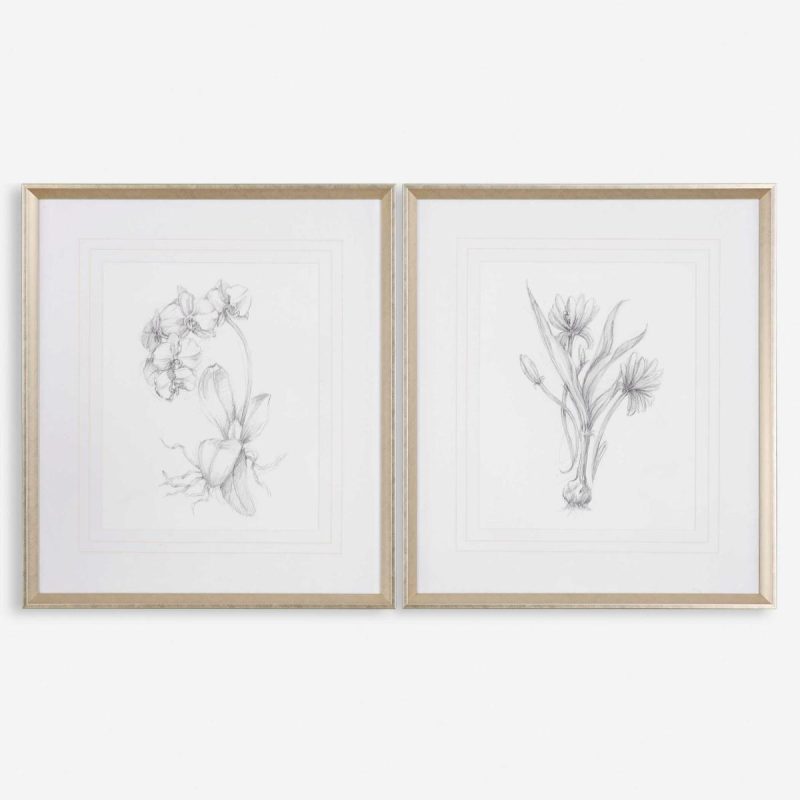 Framed Prints |  Botanical Sketches Framed Prints, S/2