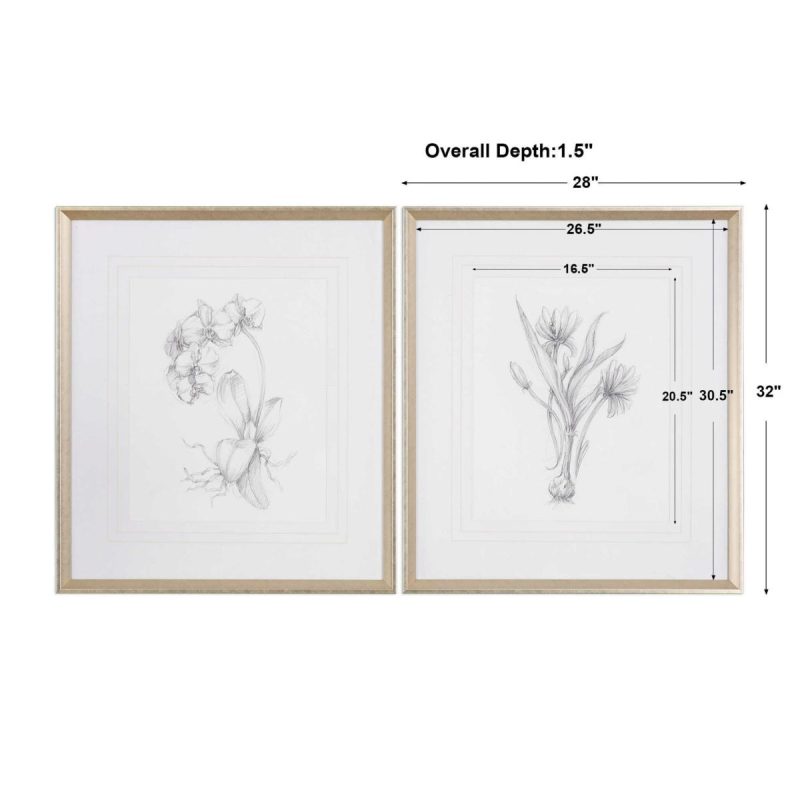 Framed Prints |  Botanical Sketches Framed Prints, S/2