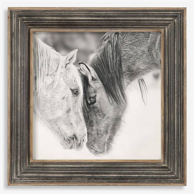 Framed Prints |  Custom Black And White Horses Framed Print