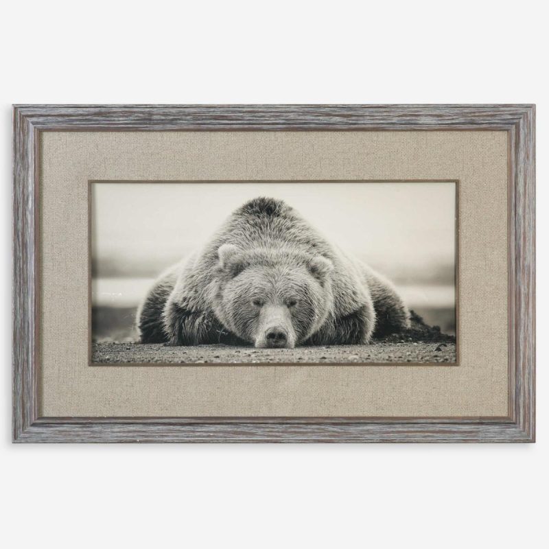 Framed Prints |  Deep Sleep Framed Print