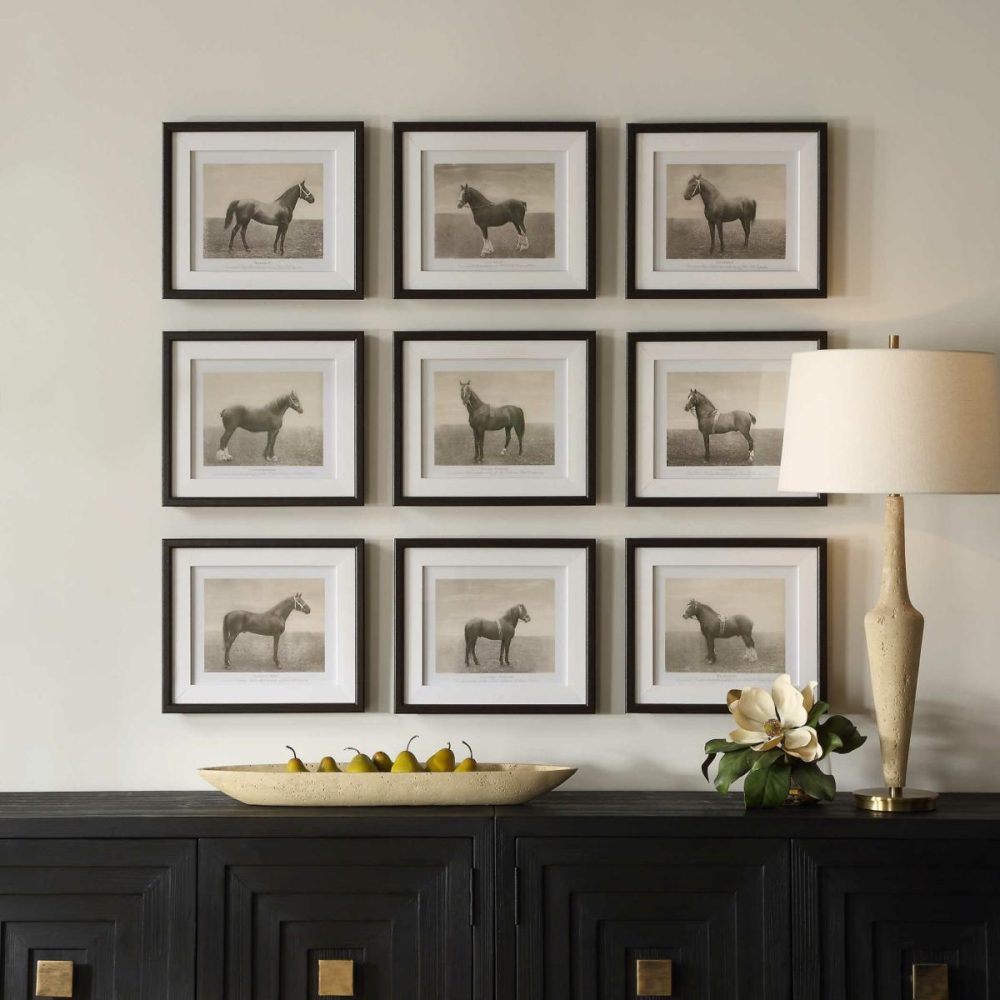 Framed Prints |  Equine Dynasty Framed Prints, S/9