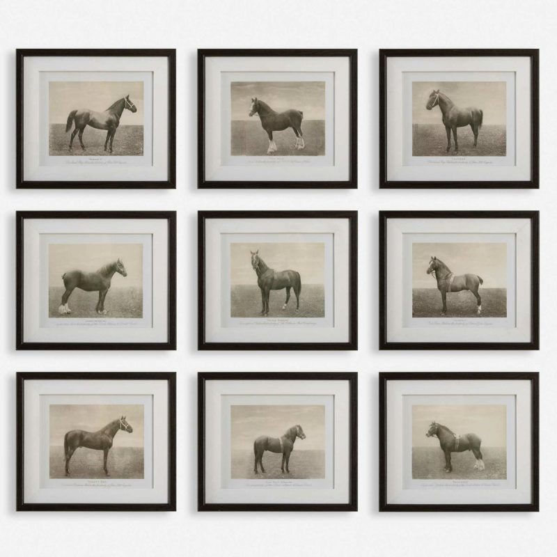 Framed Prints |  Equine Dynasty Framed Prints, S/9