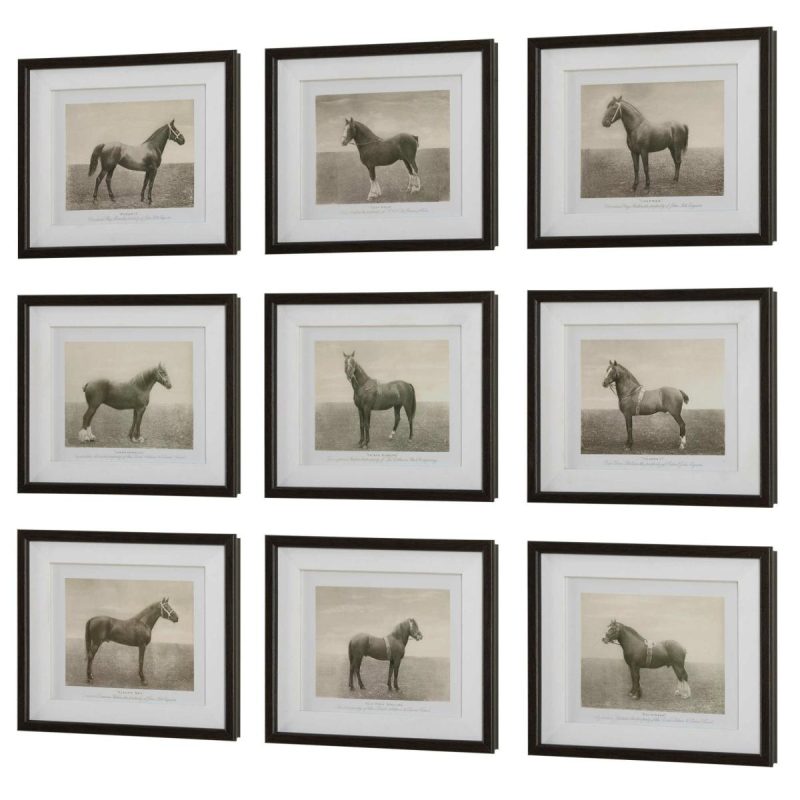 Framed Prints |  Equine Dynasty Framed Prints, S/9