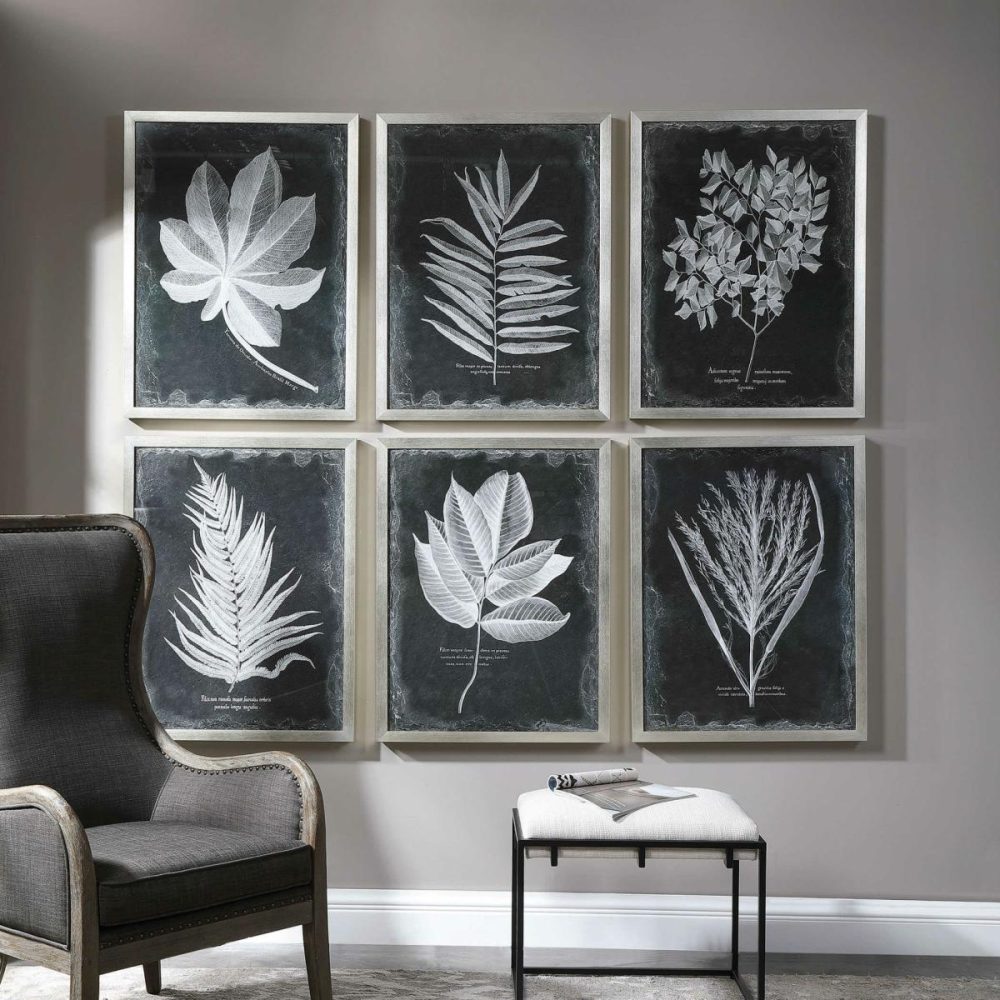 Framed Prints |  Foliage Framed Prints, S/6