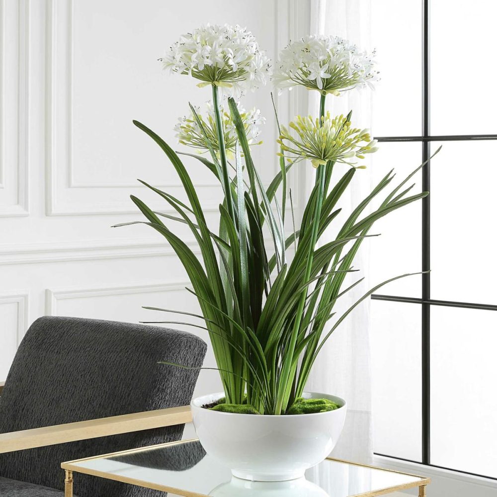 Botanicals |  Purity Agapanthus Centerpiece