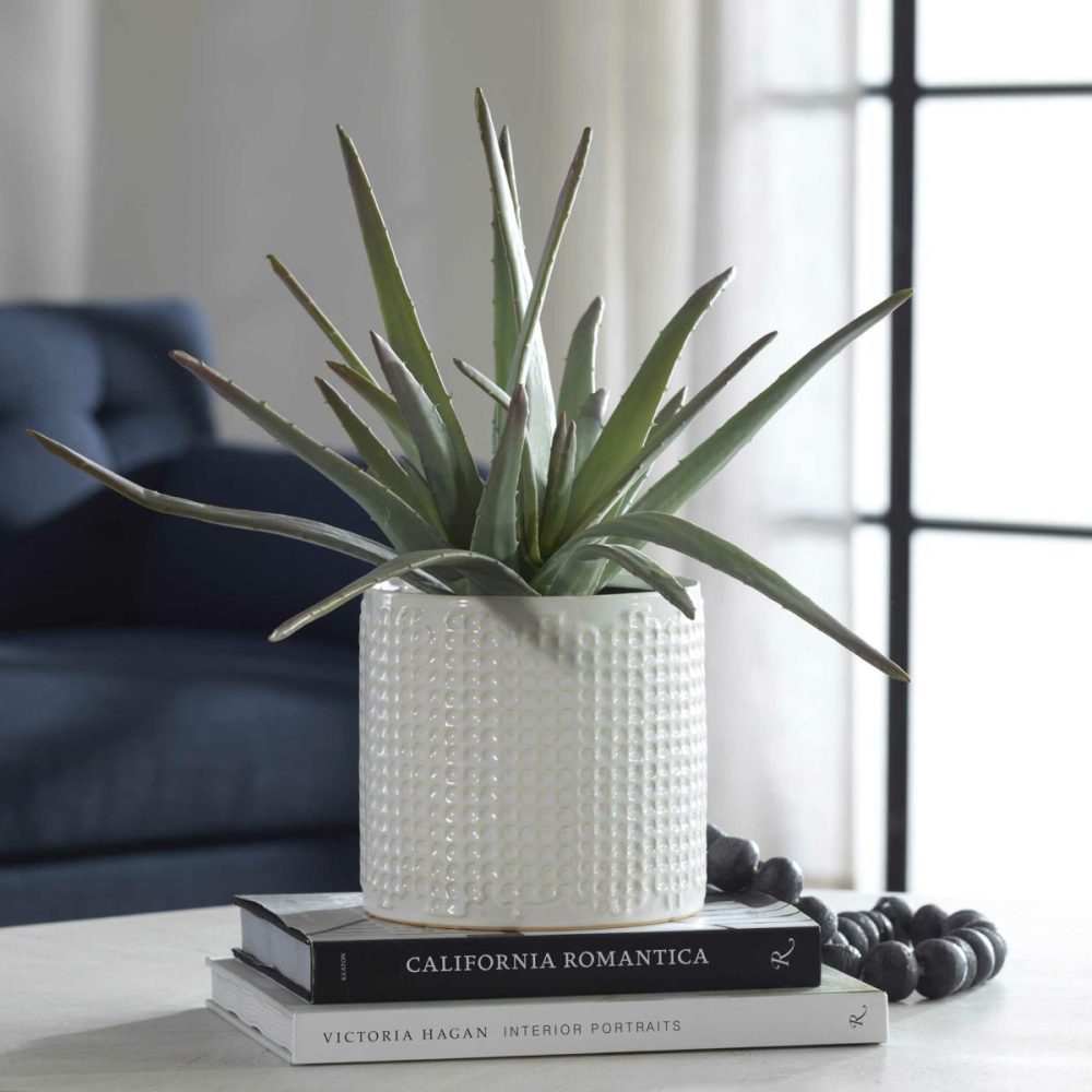 Botanicals |  Taos Aloe Centerpiece